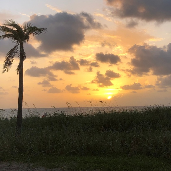 Meet your Posher, Robyn - Picture 1 of 1